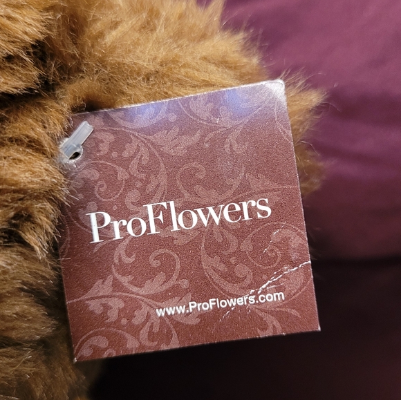 ProFlowers Plush Teddy Bear with gorgeous Yellow Sweater Holding a Sunflower - Picture 8 of 13